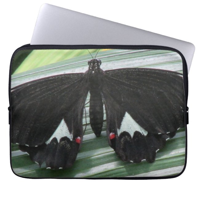 Funda para portátil de mariposa tropical en blanco (Frente)