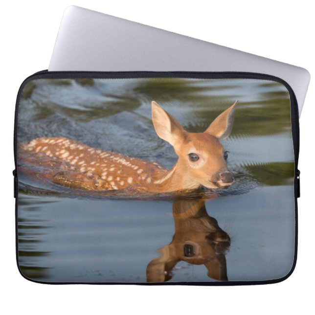 Funda Para Portátil Deer Fawn | Minnesota (Frente)