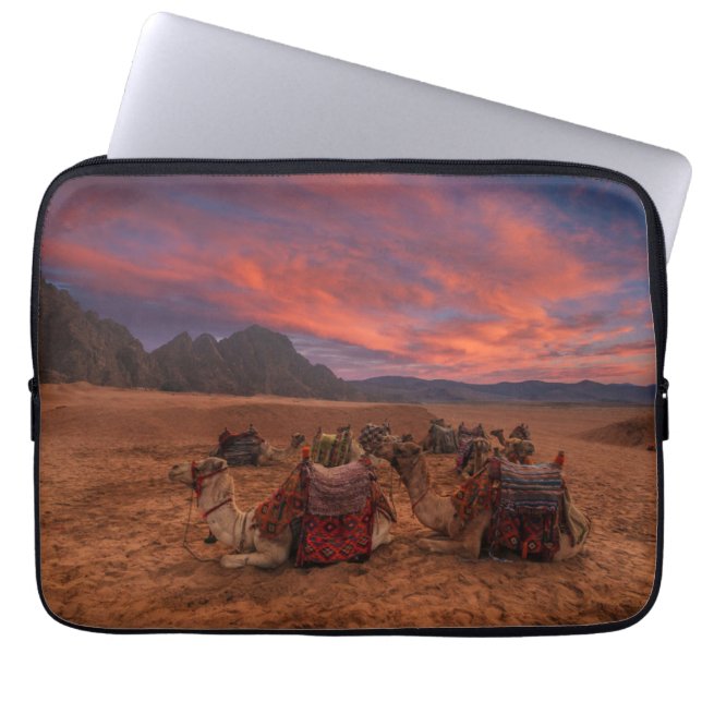 Funda Para Portátil Desiertos | Camels Sinai Mountains Egipto (Frente)