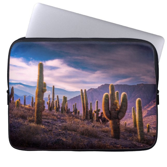 Funda Para Portátil Desiertos | Paisaje Cactus Argentina (Frente)
