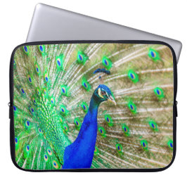 Funda Para Portátil Desplome de pavo real