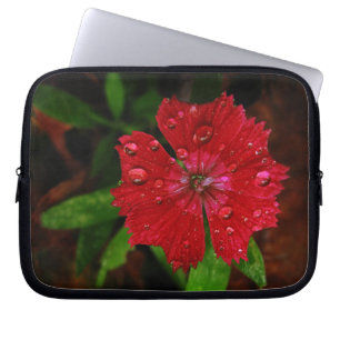 Funda Para Portátil Dianthus rojo con gotas de lluvia
