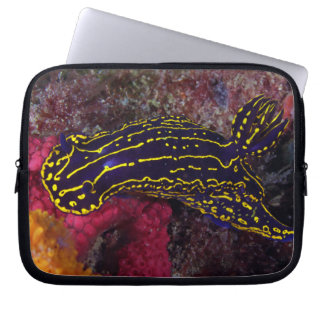 Funda Para Portátil Diosa del Mar Regal Nudibranch Felimare picta