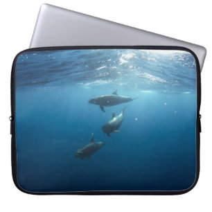 Funda Para Portátil Dolphin Family Underwater