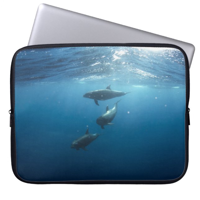 Funda Para Portátil Dolphin Family Underwater (Frente)
