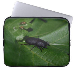 Funda Para Portátil Dorcus parallelipipedus , el escarabajo de menor t