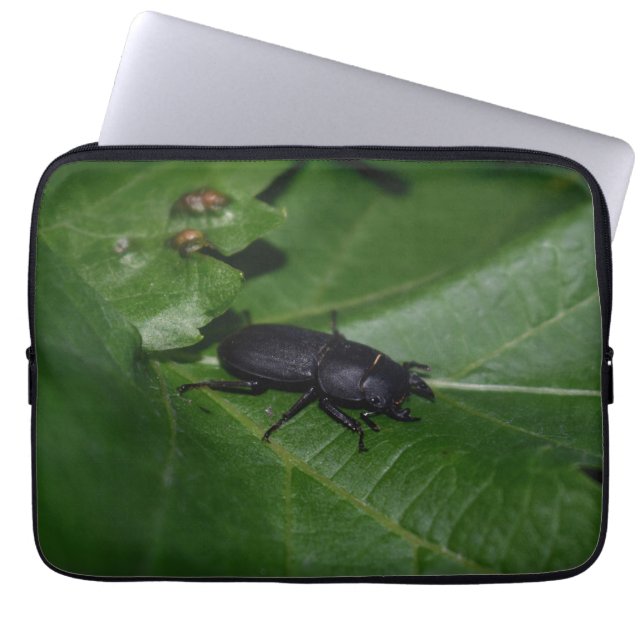 Funda Para Portátil Dorcus parallelipipedus , el escarabajo de menor t (Frente)