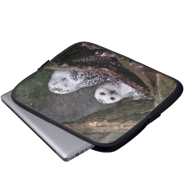 Funda Para Portátil Dos búhos (Inferior anverso)
