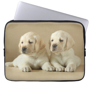 Funda Para Portátil Dos Cachorros Labrador Dorados