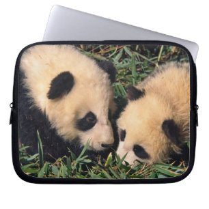 Funda Para Portátil Dos crías de panda en el arbusto de bambú, Wolong,
