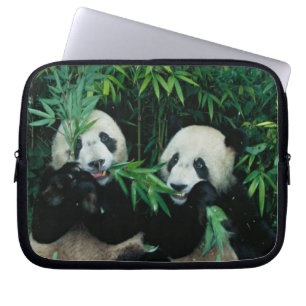 Funda Para Portátil Dos pandas comiendo bambú juntos, Wolong