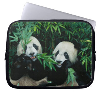 Funda Para Portátil Dos pandas comiendo bambú juntos, Wolong