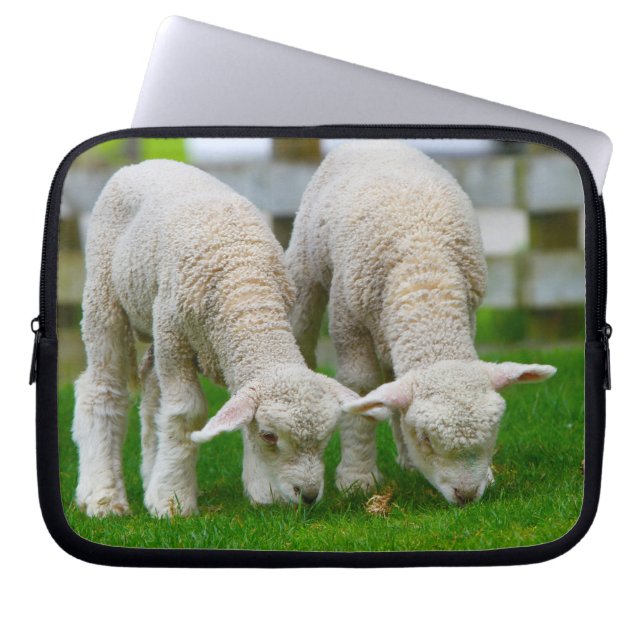 Funda Para Portátil Dos Piernas (Frente)