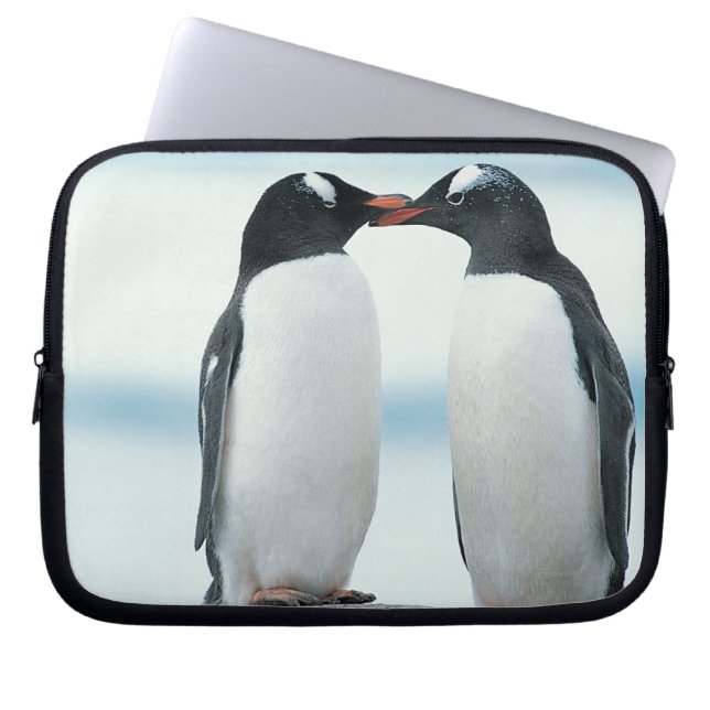 Funda Para Portátil Dos pingüinos tocando picos (Frente)