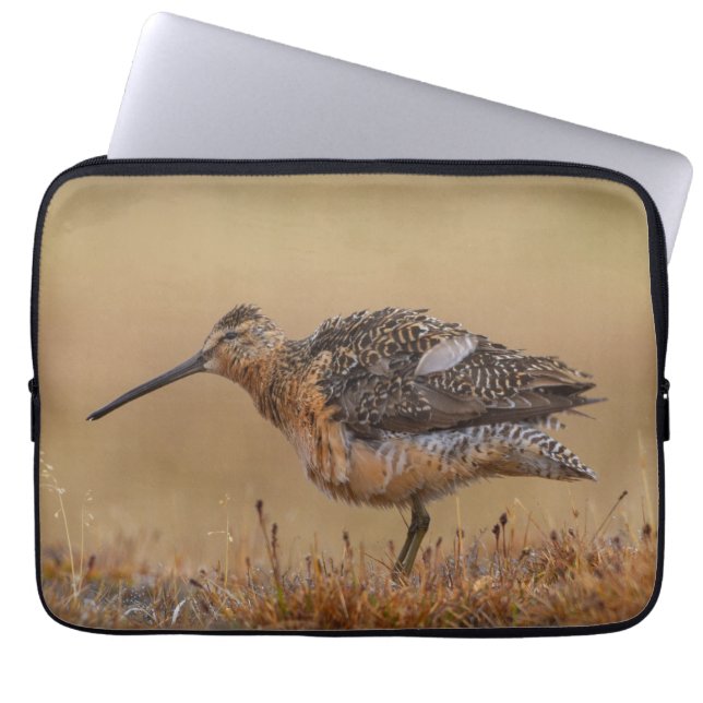 Funda Para Portátil Dowitcher de factura larga (Frente)