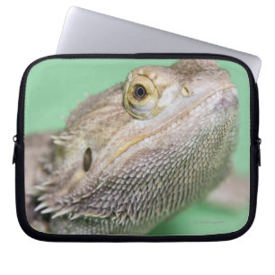 Funda Para Portátil Dragón barbudo 2