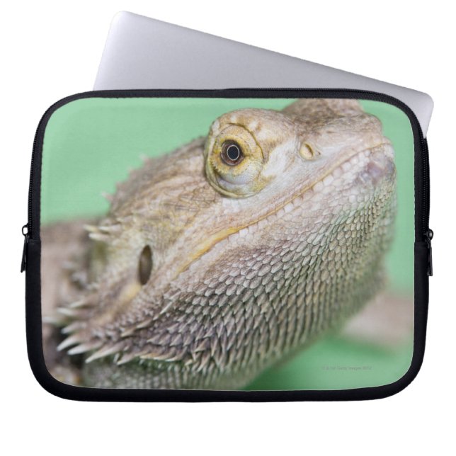 Funda Para Portátil Dragón con barba 2 (Frente)