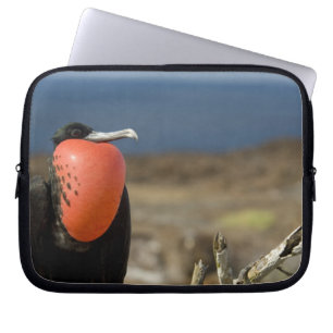 Funda Para Portátil Ecuador, Galápagos, Isla Genovesa. Príncipe