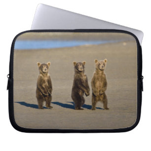 Funda Para Portátil EE. UU. Alaska. Cachorros de oso pardo costero