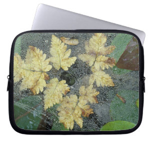 Funda Para Portátil EE. UU., Alaska, Nancy Lake. Rocío en telaraña