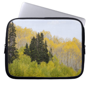 Funda Para Portátil EE. UU., Colorado, Bosque Nacional Gunnison, a lo