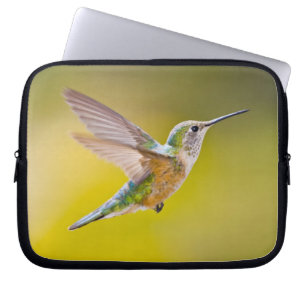 Funda Para Portátil EE. UU., Colorado, condado de Summit, Heeney. Vist