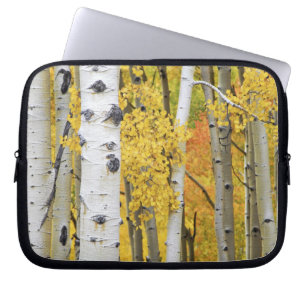 Funda Para Portátil EE. UU., Colorado, Montañas Rocosas. Aspen íntimo