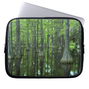 Funda Para Portátil EE. UU., Florida, Bosque Nacional Apalachicola, Ca