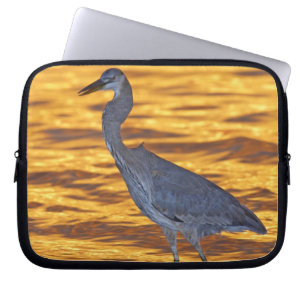 Funda Para Portátil EE. UU., Florida, St. Petersburg, Fort De Soto Par