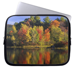 Funda Para Portátil EE. UU., New Hampshire, Moultonborough. Árboles en