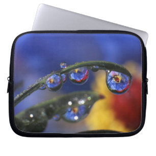 Funda Para Portátil EE. UU., Oregón, Portland, Primer plano de mariqui