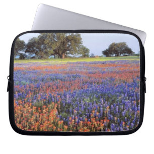 Funda Para Portátil EE. UU., Texas, Llano. Lupinos y redbonnets