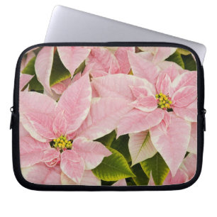 Funda Para Portátil EE. UU., Washington, Woodinville, Molbak's Nursery