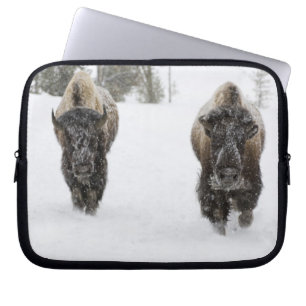 Funda Para Portátil EE. UU., WY, Parque Nacional Yellowstone, Bisonte