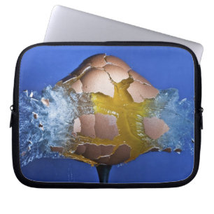 Funda Para Portátil Eggceptional