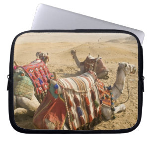 Funda Para Portátil Egipto, El Cairo. Camellos descansando