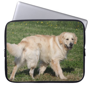 Funda Para Portátil El caminar del golden retriever