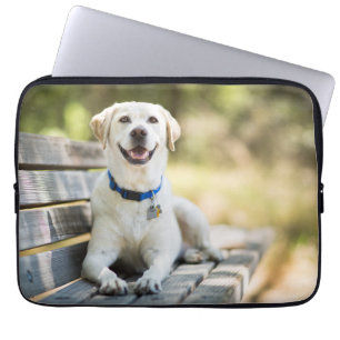 Funda Para Portátil El Labrador Amarillo Está En El Banco