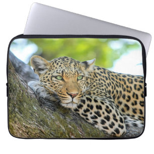 Funda Para Portátil El leopardo descansando en un árbol