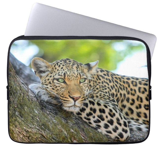 Funda Para Portátil El leopardo descansando en un árbol (Frente)