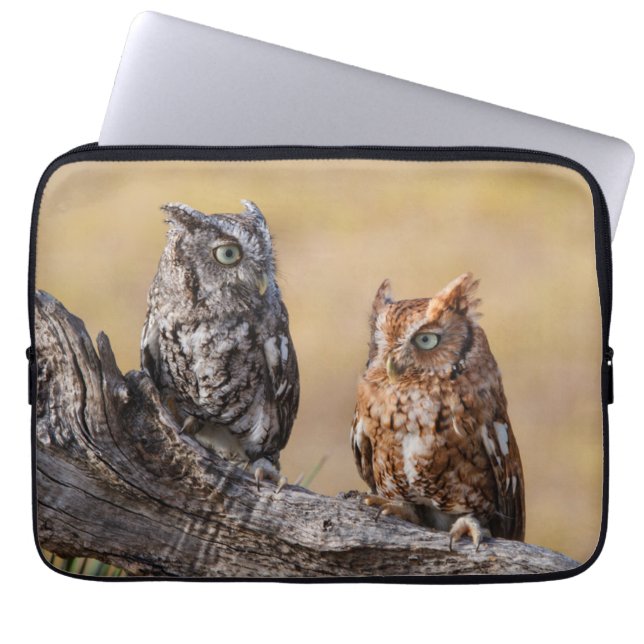 Funda Para Portátil El Ow Roosting de gritos orientales en el árbol (Frente)