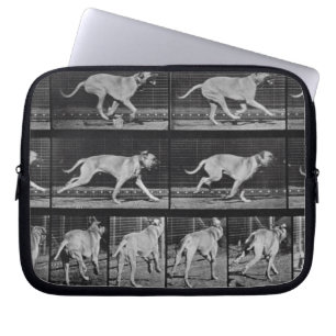Funda Para Portátil El perro corriente, platea 707 de la "locomoción