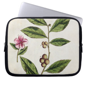 Funda Para Portátil El té verde, platea 351 "de un herbario curioso",