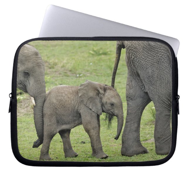 Funda Para Portátil Elefante africano con bebé (Frente)