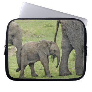 Funda Para Portátil Elefante africano hembra con cría