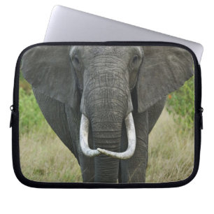 Funda Para Portátil Elefante africano loxodonta, Masai Mara