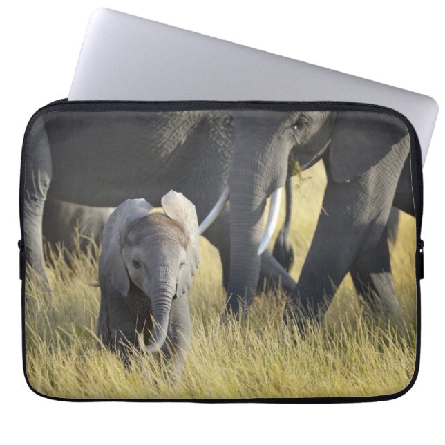 Funda Para Portátil Elefante del bebé (Frente)
