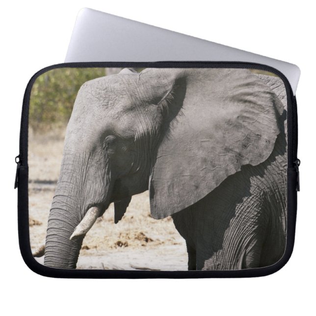 Funda Para Portátil Elefante (Loxodonta africana), canal de Savute (Frente)