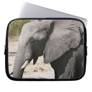 Funda Para Portátil Elefante (Loxodonta africana), Canal Savute