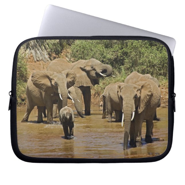 Funda Para Portátil Elefantes africanos, Loxodonta Africana, Samburu (Frente)